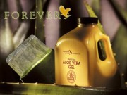 Linea Salute snc - Aloe Vera e Nutraceutica Forever - Pesaro Linea Salute snc - Aloe Vera e Nutraceutica Forever - Pesaro